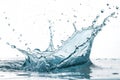 Splash in the water isolated on white background Royalty Free Stock Photo