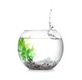 Splash of water in round fish bowl with decorative plant and pebbles on white background Royalty Free Stock Photo