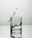 Splash of water in a whisky glass Royalty Free Stock Photo