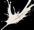 a splash of white milk is being poured isolated a black background Royalty Free Stock Photo