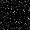 Black and white splash, dots, snow seamless texture