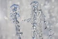Splashes of flying water from the fountain Royalty Free Stock Photo