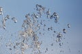 Splashes of flying water from the fountain against the blue sky Royalty Free Stock Photo