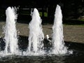 Splashes of fountain, seagull in Helsinki, Finland