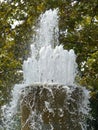 Splashes and jets of the fountain in the city park. A fountain with splashes and drops of water works. Royalty Free Stock Photo