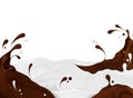 Splashes of milk and chocolate on white background. Royalty Free Stock Photo