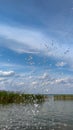 Splashes of water against the background of the lake . Royalty Free Stock Photo