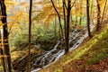 Splashing cascading waterfall in an autumn forest