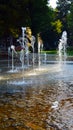 Splashing dancing fountains in park. Podebrady Royalty Free Stock Photo