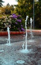 Splashing dancing fountains in park. Podebrady Royalty Free Stock Photo