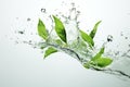 Drop freshness nature background water spring green rain leaf liquid plant summer Royalty Free Stock Photo