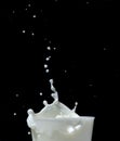 Splashing milk on black background