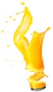 Splashing orange juice with oranges Royalty Free Stock Photo