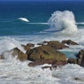 Splashing pacific waves in Port Macquarie Royalty Free Stock Photo