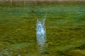 Splashing in the river from a stone thrown into it