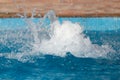 Splashing water in the pool as a background Royalty Free Stock Photo