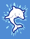 Splashing white dolphin