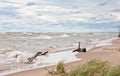 Splashy Lake Michigan Beach Landscape on Cloudy Day Royalty Free Stock Photo