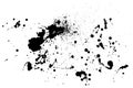 Splatter Paint Texture . Distress rough background . Black Spray Blot of Ink. Abstract vector. Hand drawn. Royalty Free Stock Photo