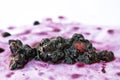 Splattered and Crushed Blackberries and Pips Royalty Free Stock Photo