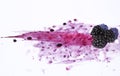 Splattered and Crushed Blackberries and Pips Royalty Free Stock Photo