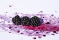 Splattered and Crushed Blackberries and Pips Royalty Free Stock Photo