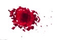 splattered red paint isolated on white background Royalty Free Stock Photo