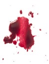 splattered red paint isolated on white background Royalty Free Stock Photo