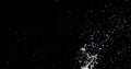 Splattering Water on a Black Background. Royalty Free Stock Photo