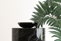splay product fashion jewelry cosmetic health organic beauty luxury background wall white plant leaf monstera tropical podium