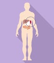 Spleen in body icon, flat style