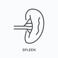 Spleen flat line icon. Vector outline illustration of human anatomy. Black thin linear pictogram for body organ