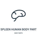 spleen human body part icon vector from body parts collection. Thin line spleen human body part outline icon vector illustration