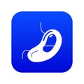 Spleen icon blue vector