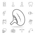 Spleen icon. Detailed set of human body part icons. Premium quality graphic design. One of the collection icons for websites, web