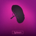 Spleen icons