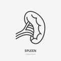 Spleen line icon, vector pictogram of human internal organ. Anatomy illustration, sign for medical clinic