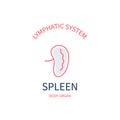 Spleen lymphatic system body organ infographic poster