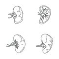 Spleen milt anatomy icons set, outline style