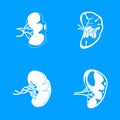 Spleen milt anatomy icons set, simple style