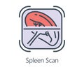 Spleen scan Icon in flat line style.