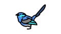 splendid fairywren bird exotic color icon animation