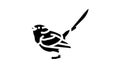splendid fairywren bird exotic glyph icon animation