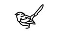 splendid fairywren bird exotic line icon animation