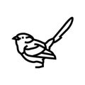 splendid fairywren bird exotic line icon vector illustration