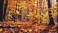 Splendid golden autumn woods, soft purple bokeh softly diffusing sunlight, detailed layers of fallen leaves Generative AI