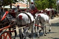 The splendid horses, the vintage carriages, at the traditional April festival in Sevilla, Spain