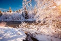 Splendid image of a mountain river after a heavy snowfall on a frosty day. Carpathian mountains, Ukraine, Europe Royalty Free Stock Photo