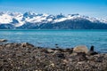 Splendid landscape of the Glacier Bay in Alaska with high snow covered mountains a blue green sea Royalty Free Stock Photo