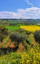 Splendid landscape and nature in Marche region, Italy. Tourism, ground and beauty